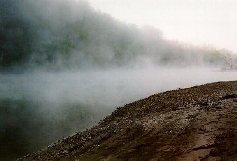 Foggy Buffalo Morning