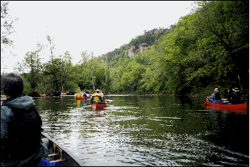 Paddling on the Illinois River