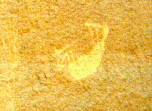 Kokopelli playing flute on his back
